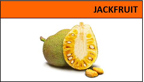 Dehydrated Jackfruit